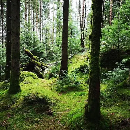 Unique House In Nedstrand בית נופש