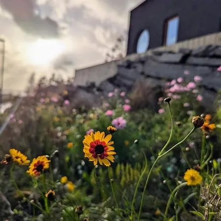 בית נופש Unique House In Nedstrand
